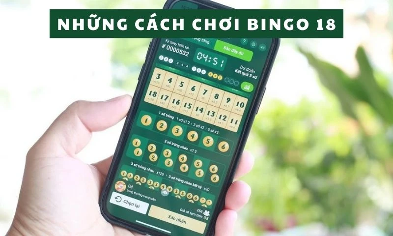 Điểm danh những cách chơi xổ số bingo 18